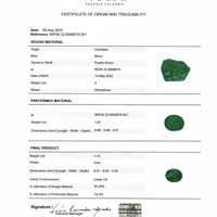 1.42 Ct. Emerald from Colombia - Muzo Pdf